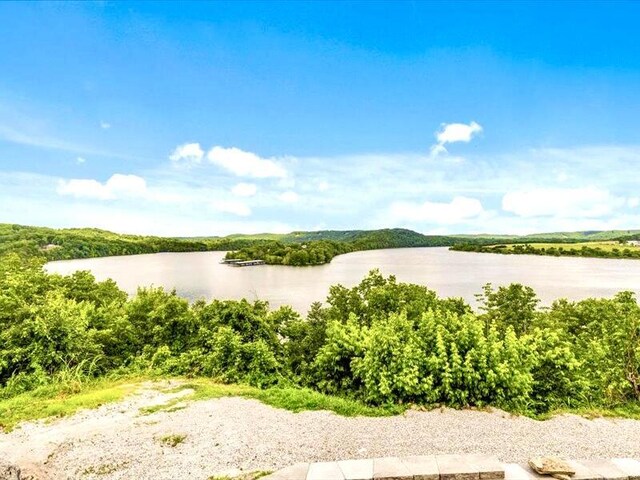 367 Flagstone Rd, Cape Fair, MO 65624 - photo 5