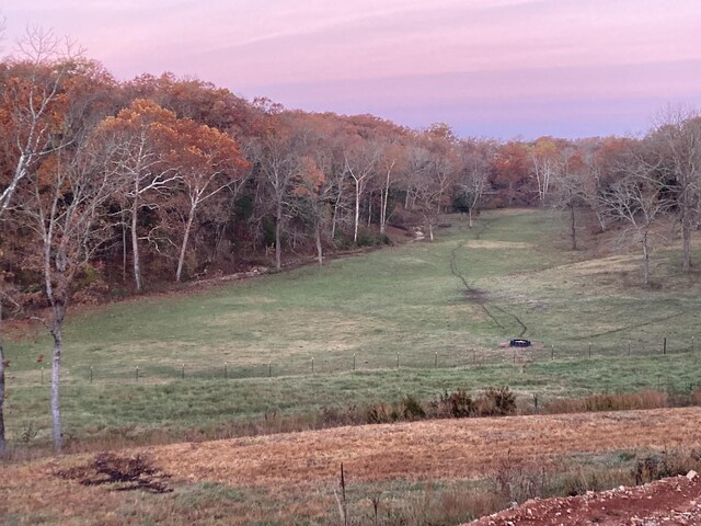 000 Prescott Rd, Kissee Mills, MO 65680 - photo 13