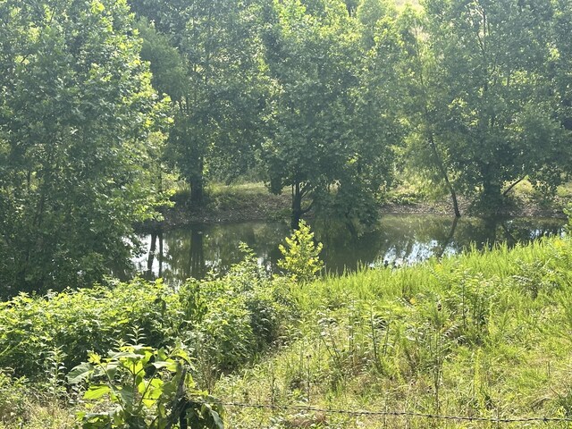 000 Prescott Rd, Kissee Mills, MO 65680 - photo 6