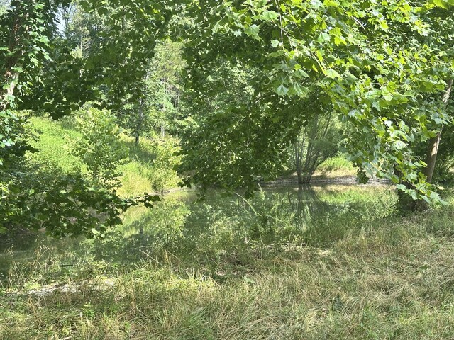 000 Prescott Rd, Kissee Mills, MO 65680 - photo 16
