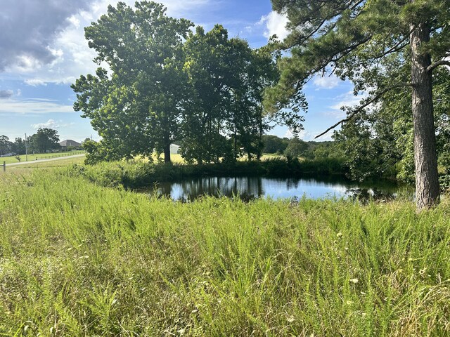 000 Prescott Rd, Kissee Mills, MO 65680 - photo 4