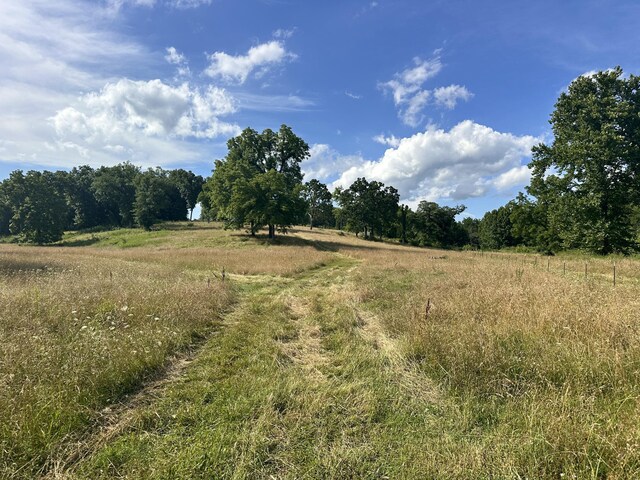 000 Prescott Rd, Kissee Mills, MO 65680 - photo 17