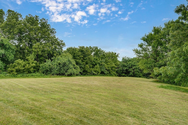 1373 E River Oak Dr, Springfield, MO 65803 - view of grassy yard with a wooded view