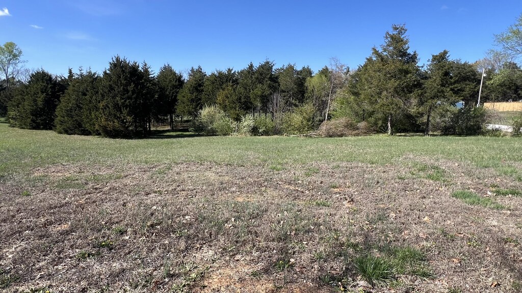 LOT3 Doc Meyer Rd, Seligman, MO 65745 - photo 1