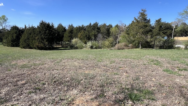 LOT3 Doc Meyer Rd, Seligman, MO 65745 - photo 1