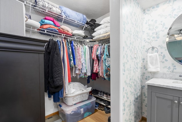 4105 S Oak Ave, Springfield, MO 65804 - spacious closet with wood finished floors and a sink
