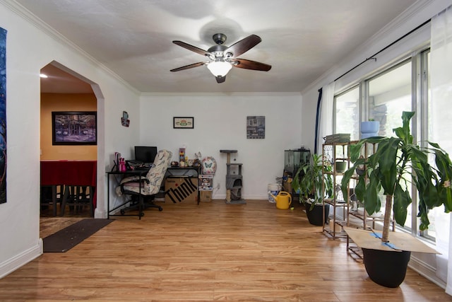 410 Schulz Ave, Monett, MO 65708 - photo 8