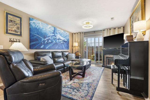 128 Knowledge Ave Unit 2, Branson, MO 65616 - living room featuring wood finished floors and a glass covered fireplace