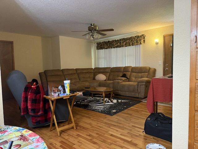 917 Hillcrest Dr, Monett, MO 65708 - photo 16