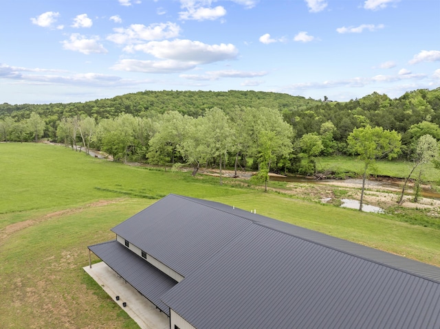 13136 Cedar Grove Rd, Lead Hill, AR 72644 - photo 37