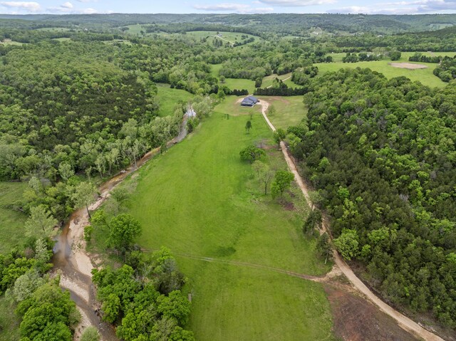 13136 Cedar Grove Rd, Lead Hill, AR 72644 - photo 42