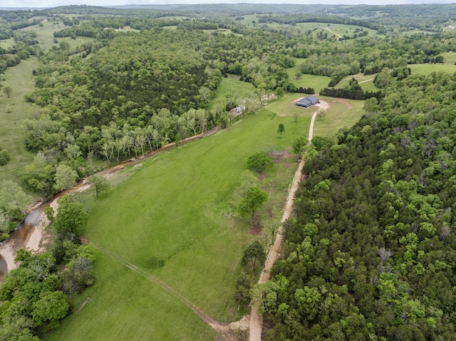 13136 Cedar Grove Rd, Lead Hill, AR 72644 - photo 43