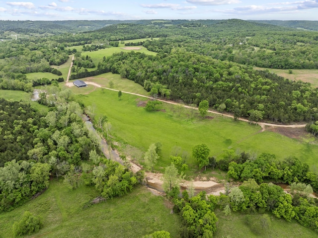 13136 Cedar Grove Rd, Lead Hill, AR 72644 - photo 40