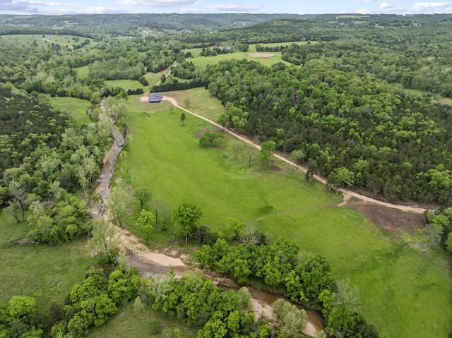 13136 Cedar Grove Rd, Lead Hill, AR 72644 - photo 41