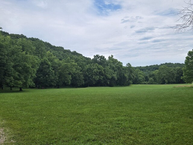 Lot 894, Camdenton, MO 65020 - photo 25