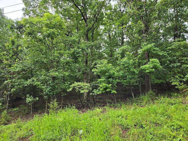 Lot 793, Camdenton, MO 65020 - photo 5