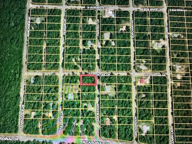 1111 Parkway Ln, Horseshoe Bend, AR 72512