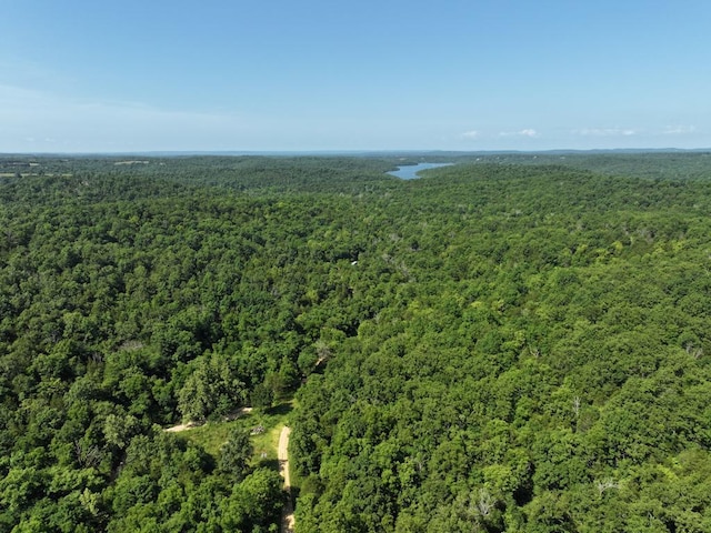 000 County Road 630, Gainesville, MO 65655 - photo 10