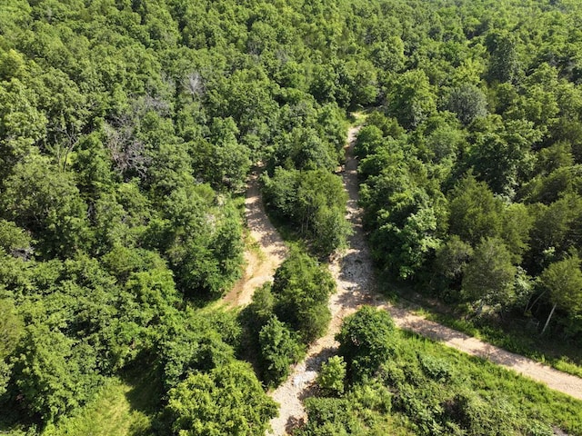 000 County Road 630, Gainesville, MO 65655 - photo 16