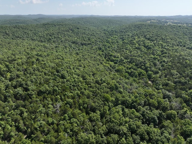 000 County Road 630, Gainesville, MO 65655 - photo 28