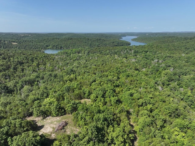 000 County Road 630, Gainesville, MO 65655 - photo 38