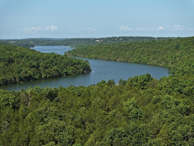 000 County Road 630, Gainesville, MO 65655 - photo 24