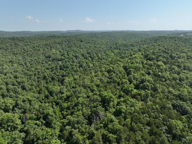 000 County Road 630, Gainesville, MO 65655 - photo 20