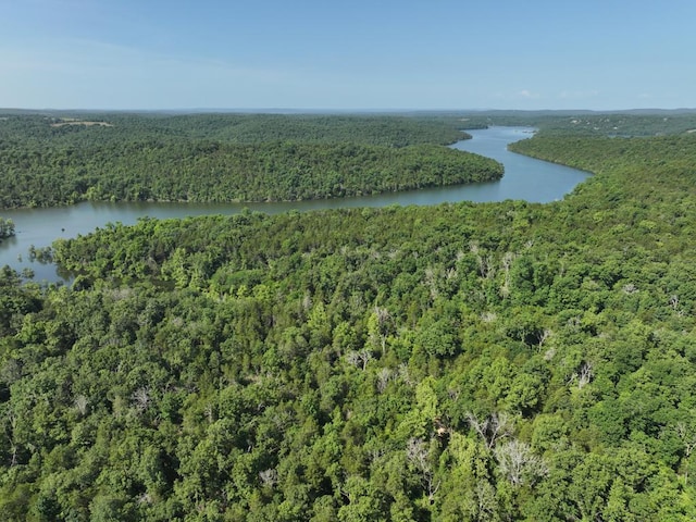 000 County Road 630, Gainesville, MO 65655 - photo 33