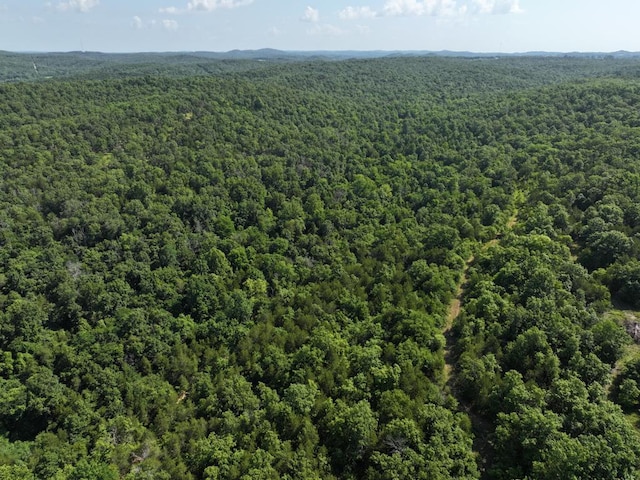 000 County Road 630, Gainesville, MO 65655 - photo 35