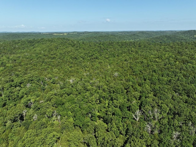 000 County Road 630, Gainesville, MO 65655 - photo 21
