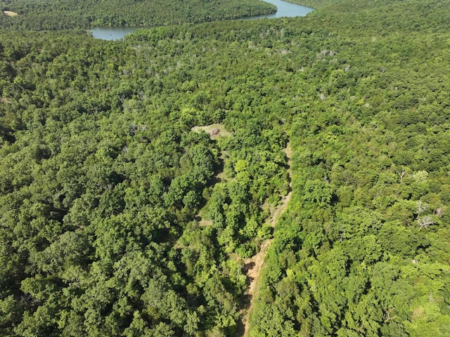 000 County Road 630, Gainesville, MO 65655 - photo 39