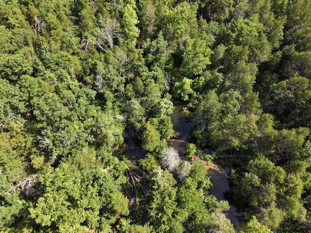 000 County Road 630, Gainesville, MO 65655 - photo 26