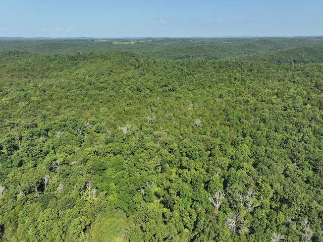 000 County Road 630, Gainesville, MO 65655 - photo 32