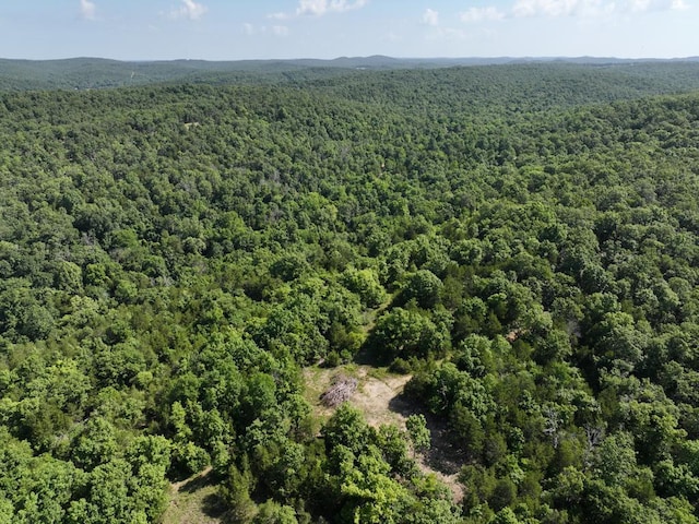 000 County Road 630, Gainesville, MO 65655 - photo 36