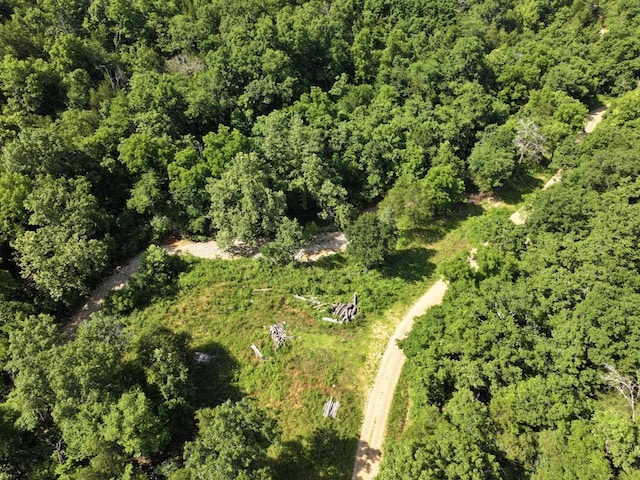 000 County Road 630, Gainesville, MO 65655 - photo 9