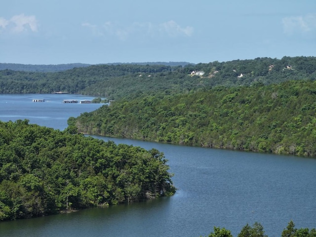 000 County Road 630, Gainesville, MO 65655 - photo 23