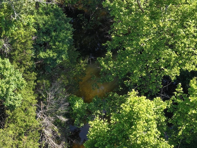 000 County Road 630, Gainesville, MO 65655 - photo 25