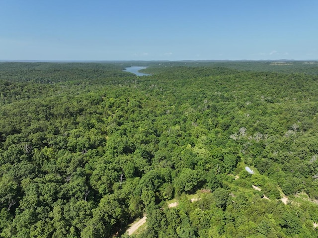 000 County Road 630, Gainesville, MO 65655 - photo 43
