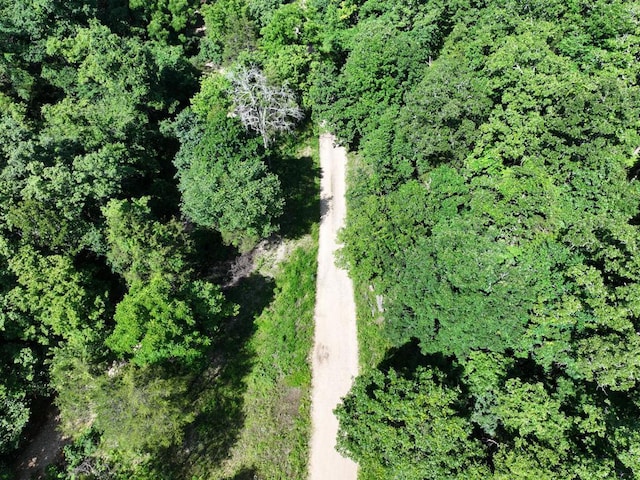 000 County Road 630, Gainesville, MO 65655 - photo 8
