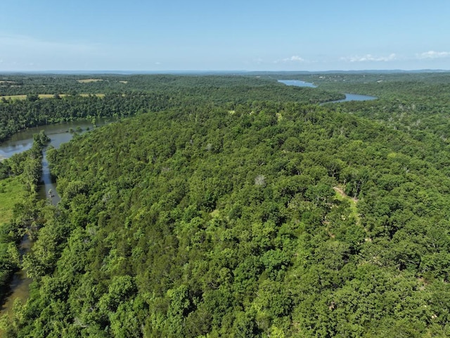 000 County Road 630, Gainesville, MO 65655 - photo 4