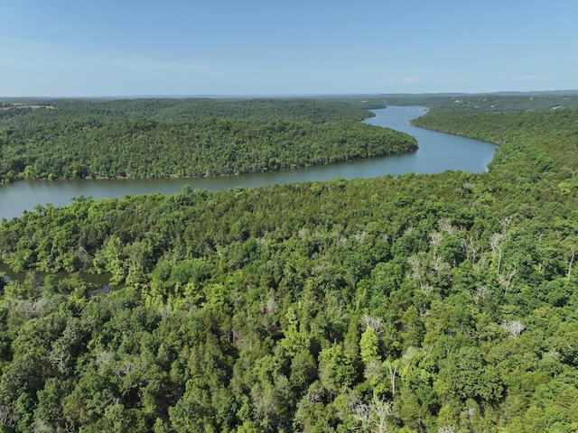 000 County Road 630, Gainesville, MO 65655 - photo 22