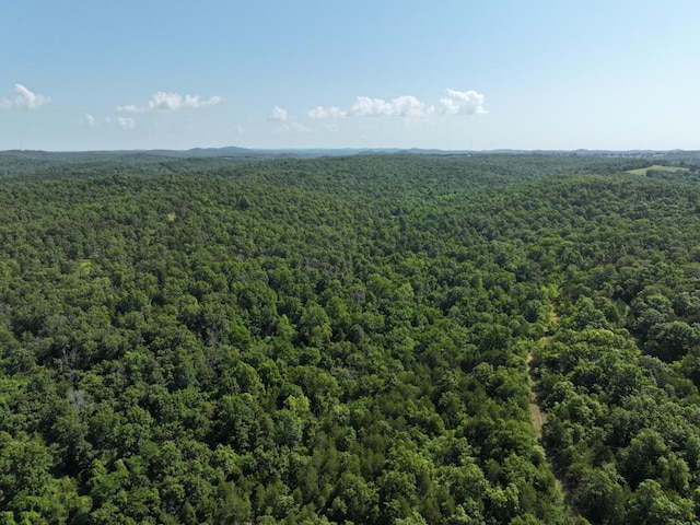 000 County Road 630, Gainesville, MO 65655 - photo 34