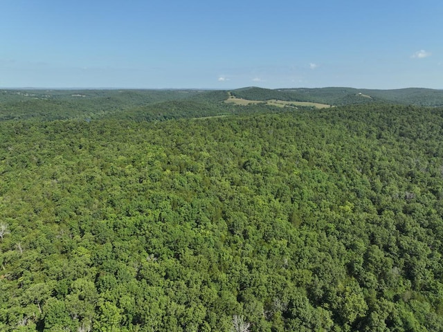000 County Road 630, Gainesville, MO 65655 - photo 29