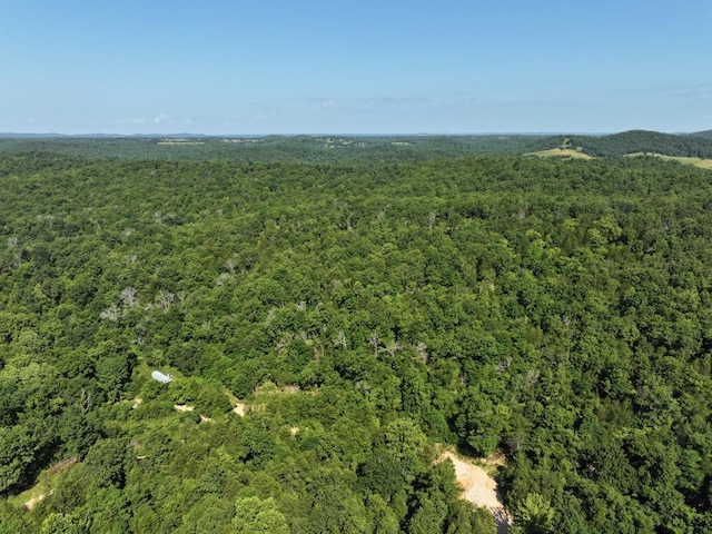 000 County Road 630, Gainesville, MO 65655 - photo 42