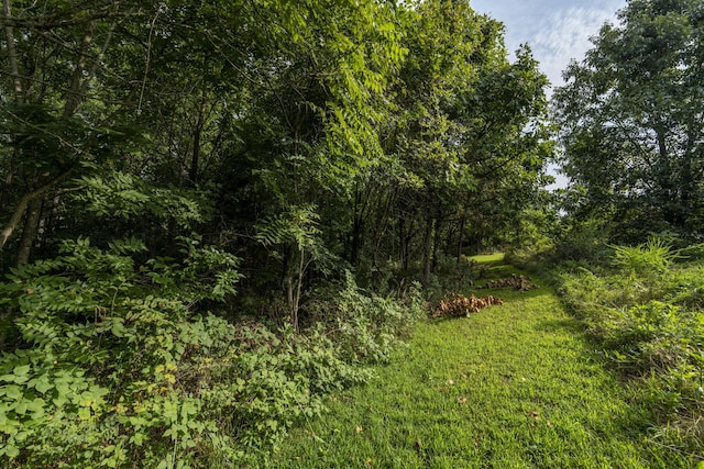 235 Peaceful Pt, Ozark, MO 65721 - photo 5