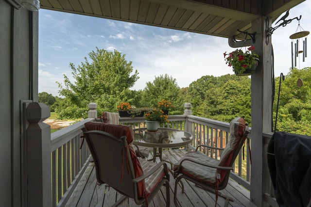 235 Peaceful Pt, Ozark, MO 65721 - photo 37