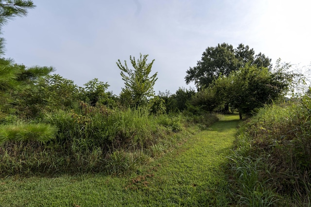 235 Peaceful Pt, Ozark, MO 65721 - photo 48