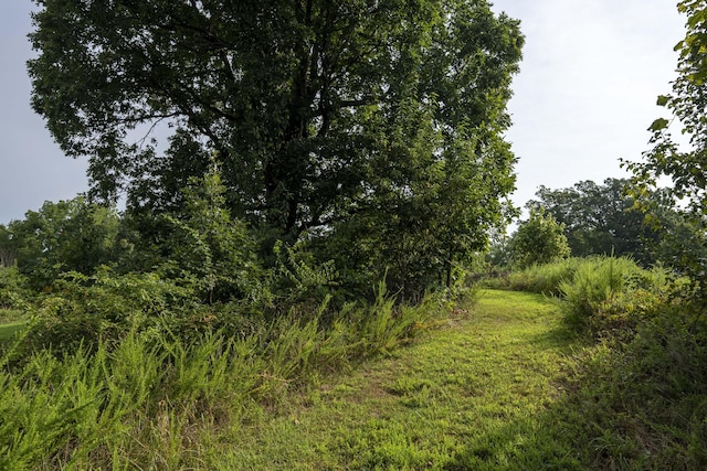 235 Peaceful Pt, Ozark, MO 65721 - photo 46
