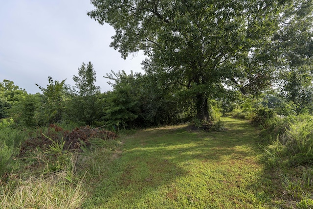 235 Peaceful Pt, Ozark, MO 65721 - photo 45