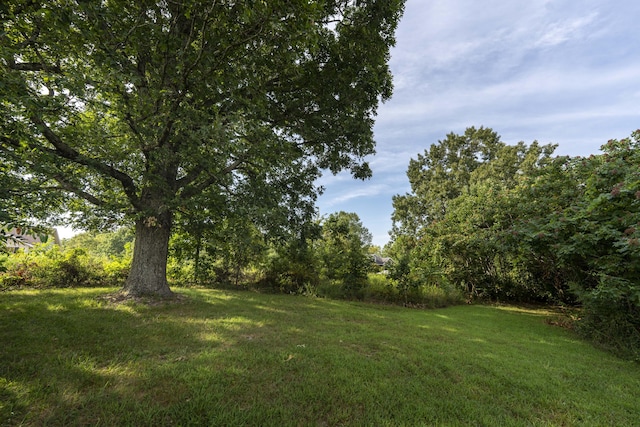 235 Peaceful Pt, Ozark, MO 65721 - photo 4